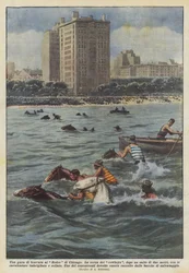 Een vaardigheidswedstrijd op de Rodeo van Chicago