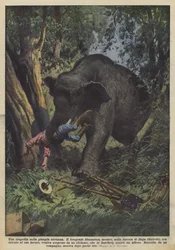 Een tragedie in de Afrikaanse jungle