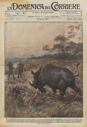 Een groot jachtavontuur in Afrika