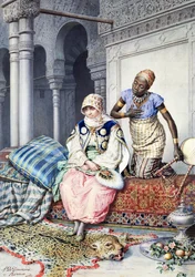 In de harem