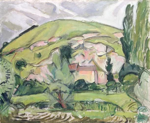 Heuvel