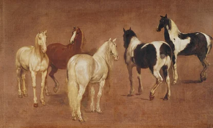 Studie van vijf paarden