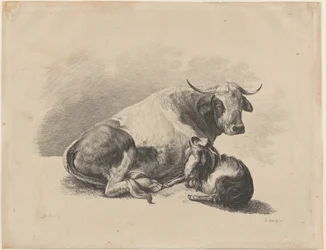 Koe en Geit Liggend, 1800-01
