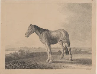 Paard staand op een veld in profiel naar links, 1809