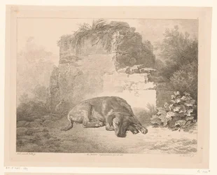 Slapende hond voor een muur (Dieren naar schilderijen van Hollandse meesters)