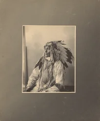 Dood gevlekt paard, Assiniboines