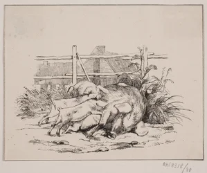De Varkens