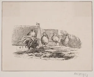 De haan