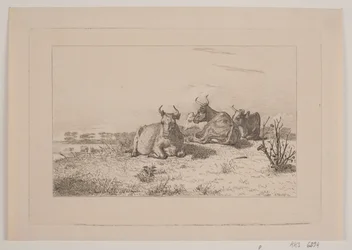 Rustende koeien