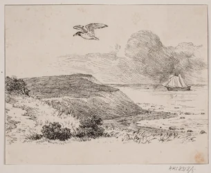 De meeuw