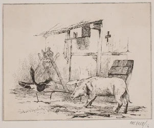 Skaden en het varken