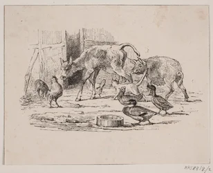 Kalf