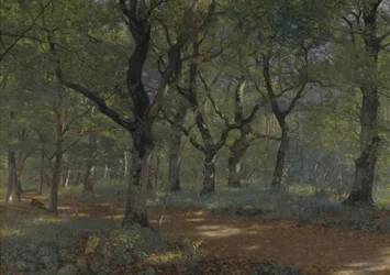 In het bos