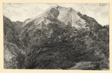 Boomloze bergtop
