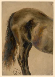 Achterkant van een paard in profiel