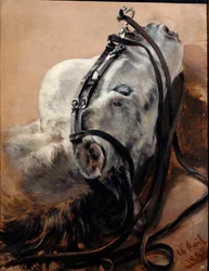 Paardenstudie. Hoofd liggend, in het tuig
