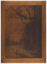 Geëtste koperplaat "Landschap met Eenden" door Adolphe Appian