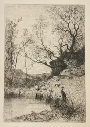 Landschap