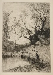 Landschap