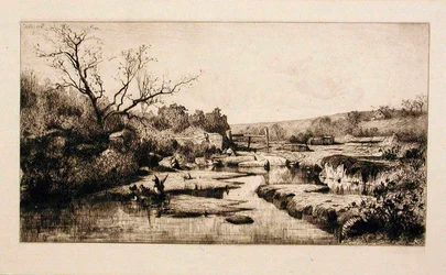 De bronnen van de Albarine (Ain)