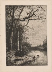 De moerassen van Burbanche
