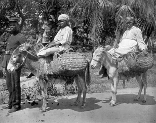 Op weg naar de gevangenis, Jamaica, ca. 1905