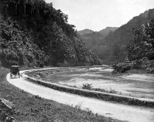 Weg naar Bog Walk, Jamaica, ca. 1905