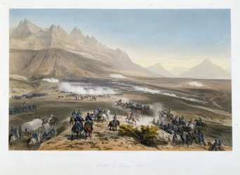 Slag bij Buena Vista