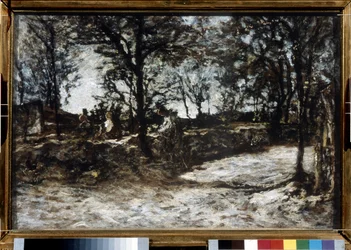 Landschap. Fontainebleau