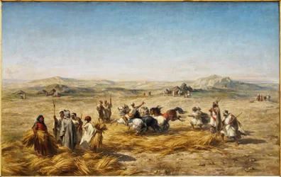 Frans: Tarwe lossen in Algerije