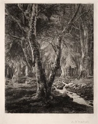 Bos van Pierrefonds