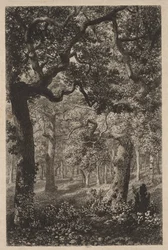 In het Bos