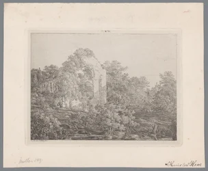 Gezicht op de ruïne van Kasteel de Haar