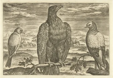 Drie vogels in een landschap