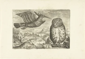Enkele vogels in een landschap