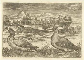 Enkele vogels in een landschap