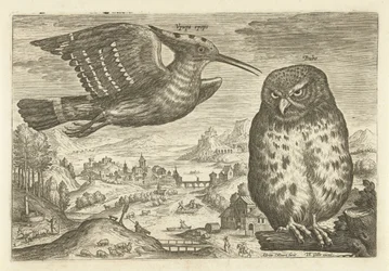 Enkele vogels in een landschap