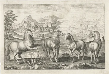 Paarden