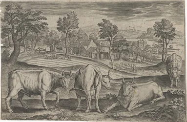 Runderen