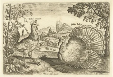 Twee hoenderen in een landschap