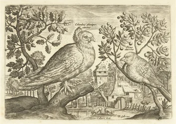 Twee vogels in een landschap