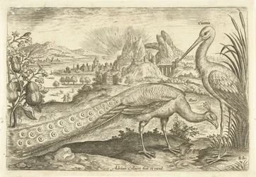 Twee vogels in een landschap