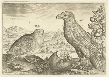 Twee vogels in een landschap