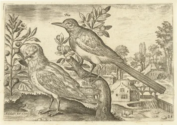 Twee vogels in een landschap