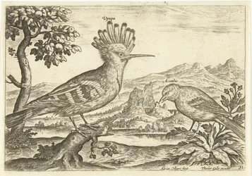 Twee vogels in een landschap