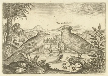 Twee vogels in een landschap