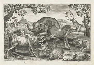Vechtende dieren Vierpotige dieren (serie titel) Animalivm Qvaddrvpedvm (serie titel)