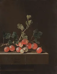 Kruisbessen op een Tafel