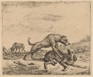 Vechtende honden