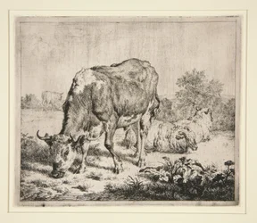 De bonte os en de drie schapen